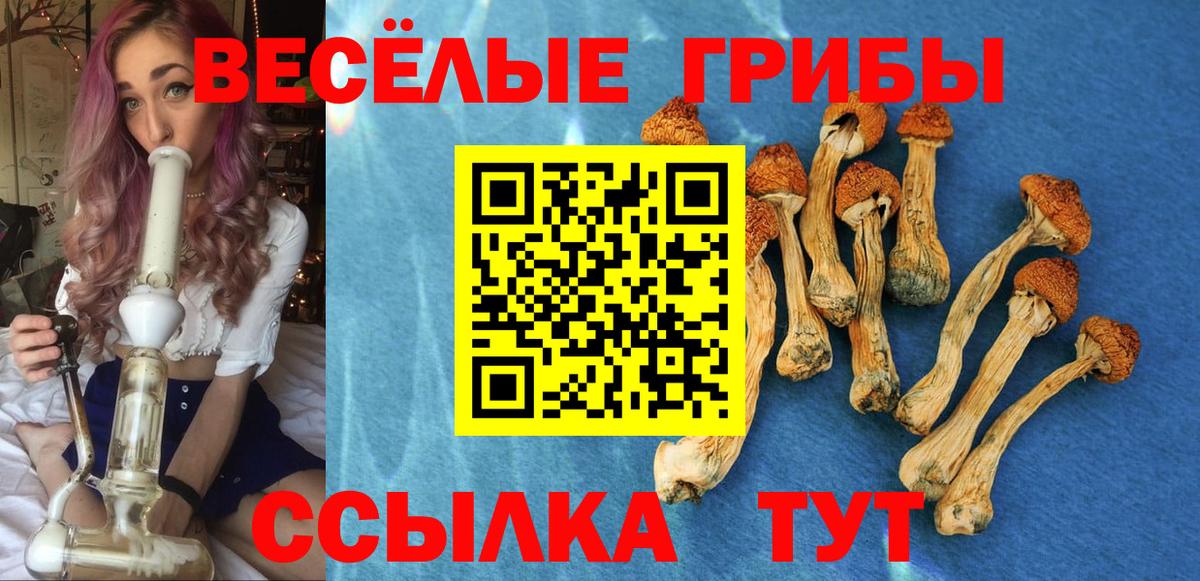 Галлюциногенные грибы мухоморы Феодосия
