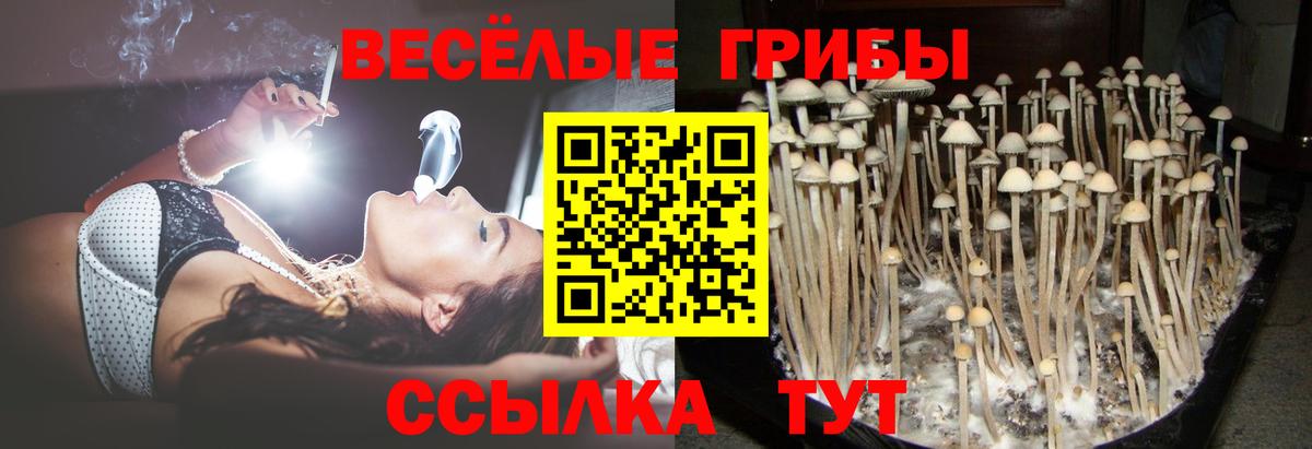 где купить наркотик  Псилоцибиновые грибы ЛСД  Вход с VPN  Феодосия  Галлюциногенные грибы Magic Shrooms 