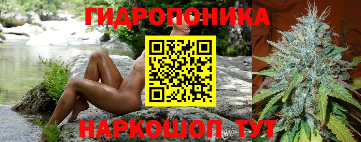 Конопля MAZAR Феодосия